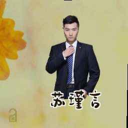 苏瑾言